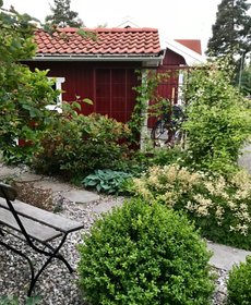 Lär dig trädgårdsdesign Trångusnd Stockholm Desigan din egen trädgård